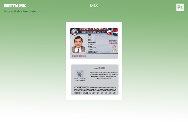 модерен стил Republica Dominicana consulado en Nueva York шаблон